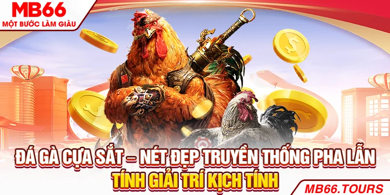 Đá gà cựa sắt – Nét đẹp truyền thống pha lẫn tính giải trí kịch tính