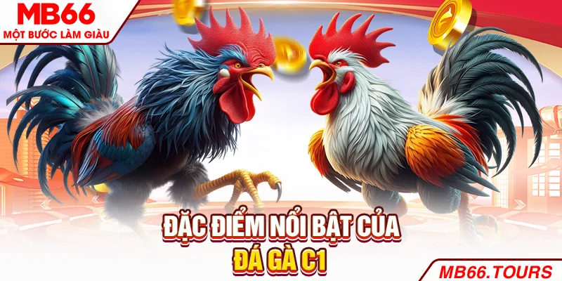 Đặc điểm nổi bật của đá gà C1