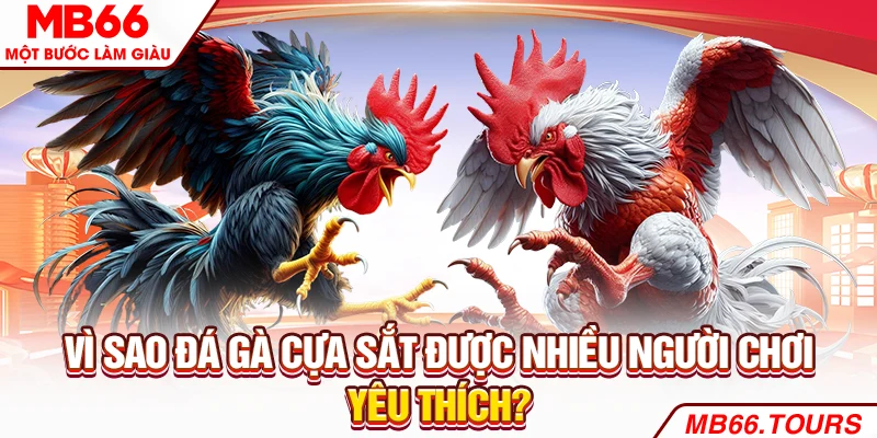 Vì sao đá gà cựa sắt được nhiều người chơi yêu thích?